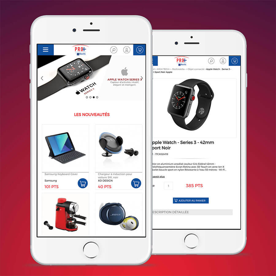 Plateforme PROPLUS sur téléphone créée par Cadeaux Privés